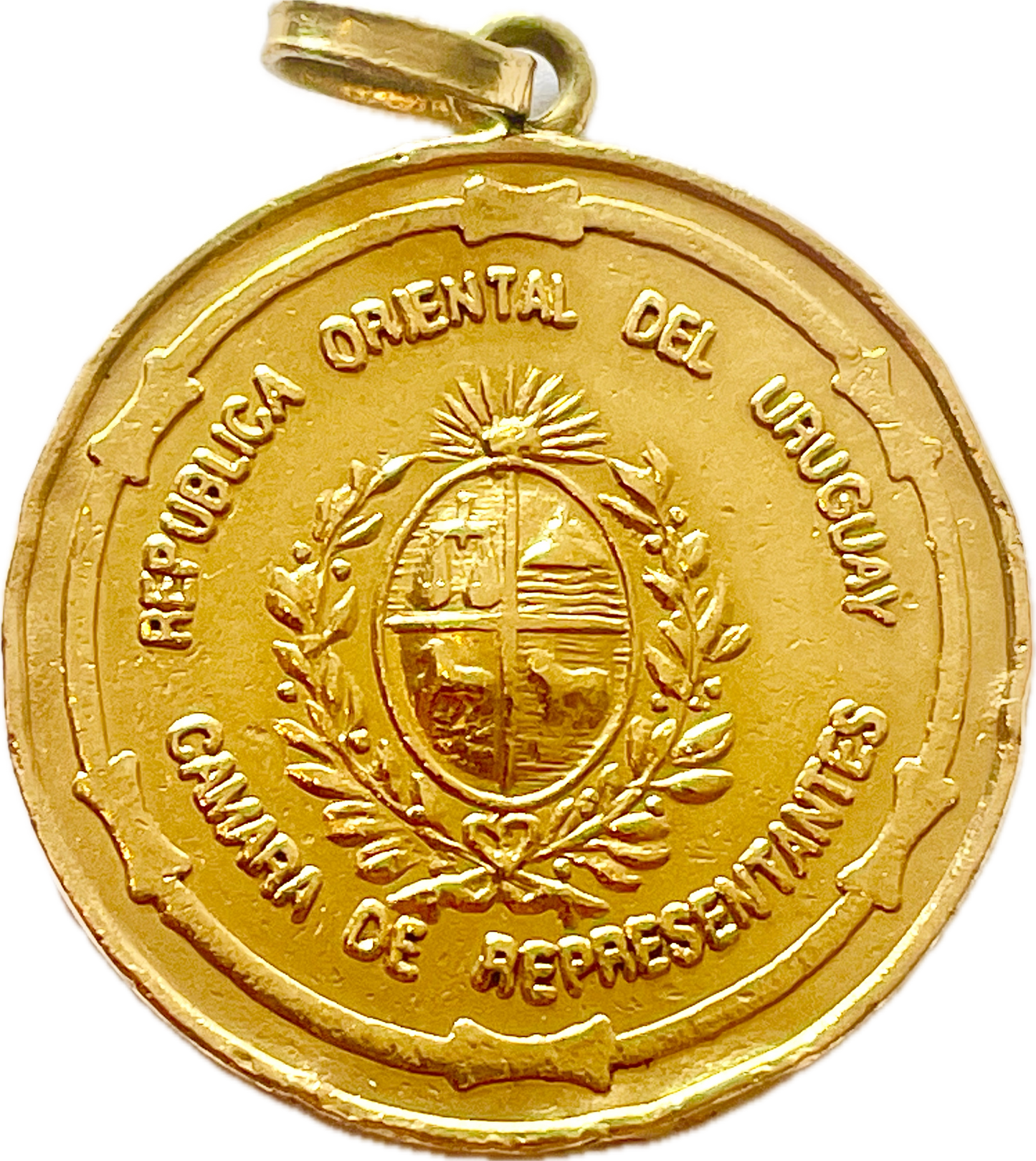Medalla - Uruguay - 2010 - Luis Lacalle Pou - Cámara de Representantes