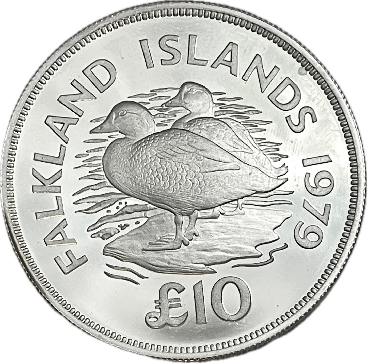 Argentina - 1979 - Islas Malvinas - 10 Libras