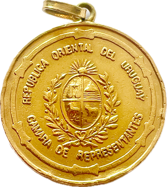 Medalla - Uruguay - 2010 - Luis Lacalle Pou - Cámara de Representantes