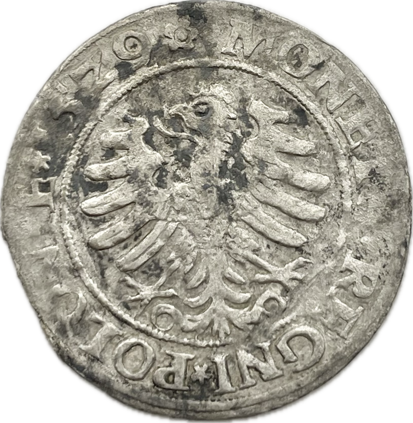Polonia - 1529 - 1 Grosz