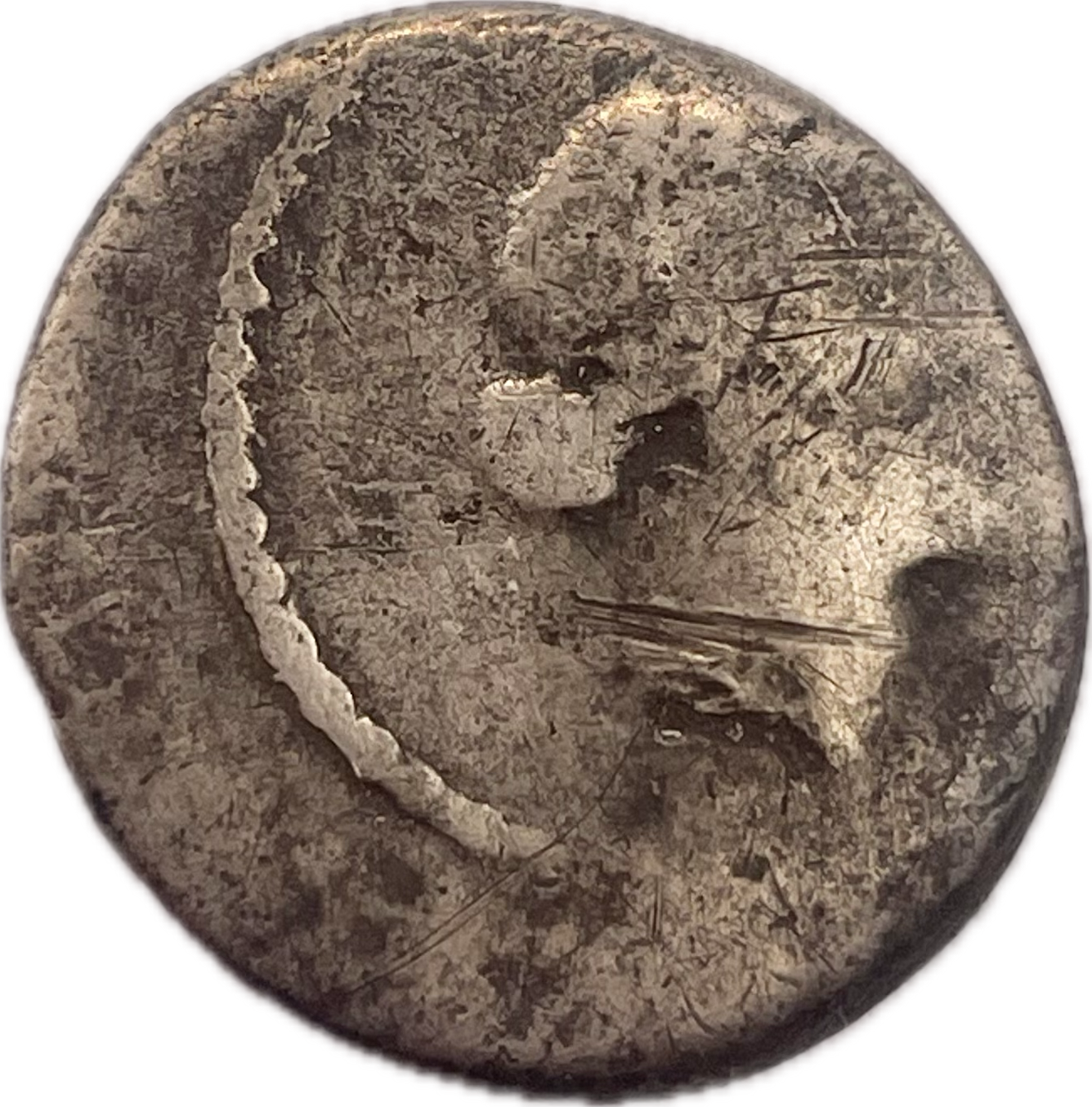 República Romana - 46 A.C - C.C. Paetus - Denario